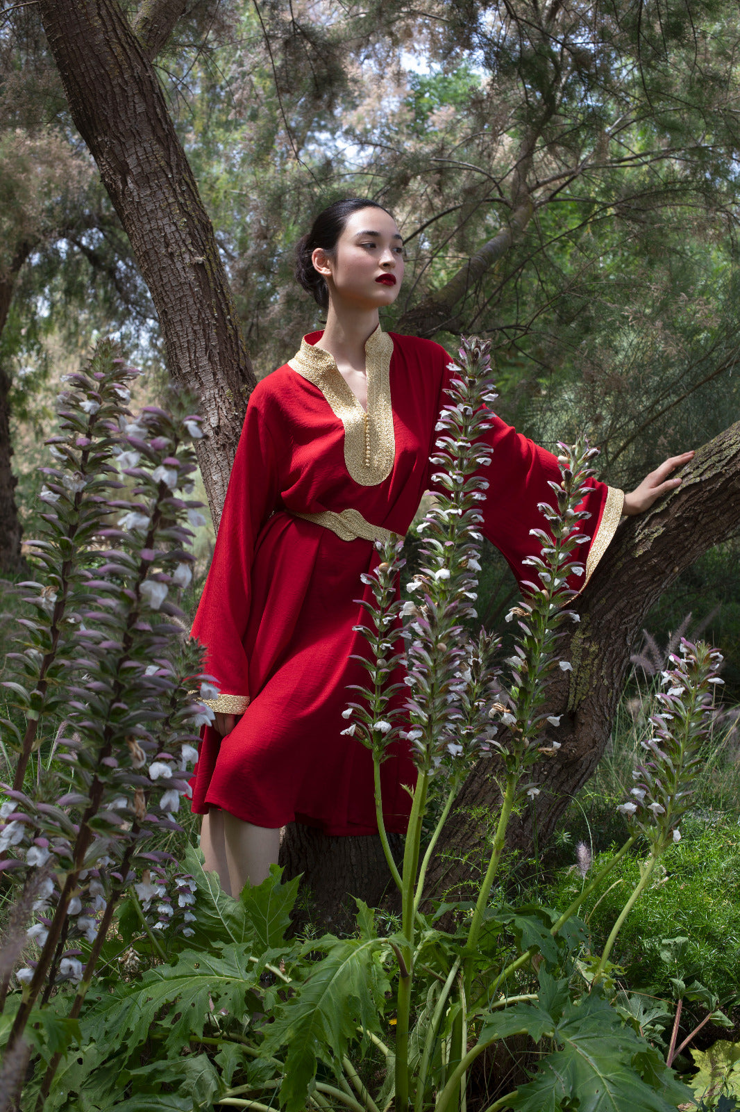 ⁠⁠Caftans & Soirée