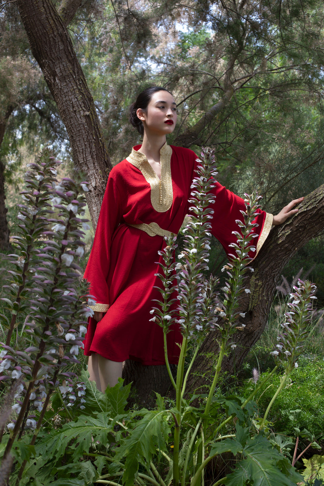 Robe Yacout